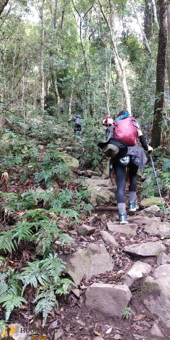 波津加山持續上坡
